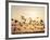 Greater White-Fronted Goose, Arctic National Wildlife Refuge, Brooks Range, Alaska, USA-Steve Kazlowski-Framed Photographic Print