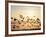 Greater White-Fronted Goose, Arctic National Wildlife Refuge, Brooks Range, Alaska, USA-Steve Kazlowski-Framed Photographic Print