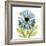Greatful Chrysanthemum H68-Albert Koetsier-Framed Photographic Print