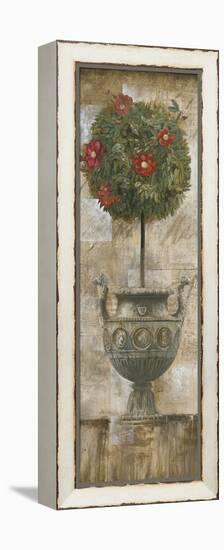 Grecian Bloom I-Augustine-Framed Stretched Canvas