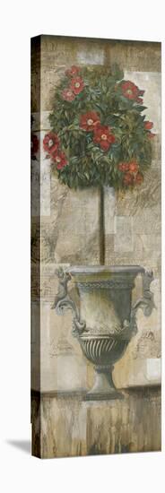 Grecian Bloom II-Augustine-Framed Stretched Canvas