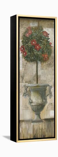 Grecian Bloom II-Augustine-Framed Stretched Canvas