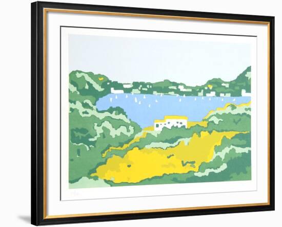 Grecian Coast II-Phyllis Sussman-Framed Limited Edition