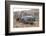 Greece, Crete, Chandras Plateau, Rusted Truck-Catharina Lux-Framed Photographic Print