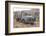 Greece, Crete, Chandras Plateau, Rusted Truck-Catharina Lux-Framed Photographic Print