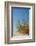 Greece, Crete, Elafonisi, Dune Grass, Nature Conservation-Catharina Lux-Framed Photographic Print