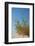 Greece, Crete, Elafonisi, Dune Grass, Nature Conservation-Catharina Lux-Framed Photographic Print