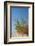 Greece, Crete, Elafonisi, Dune Grass, Nature Conservation-Catharina Lux-Framed Photographic Print