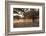 Greece, Crete, Olive Grove-Catharina Lux-Framed Photographic Print