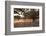 Greece, Crete, Olive Grove-Catharina Lux-Framed Photographic Print