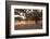 Greece, Crete, Olive Grove-Catharina Lux-Framed Photographic Print