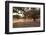 Greece, Crete, Olive Grove-Catharina Lux-Framed Photographic Print