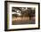 Greece, Crete, Olive Grove-Catharina Lux-Framed Photographic Print