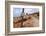 Greece, Crete, Omalos Plateau, Street to Paleochora-Catharina Lux-Framed Photographic Print