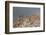 Greece, Crete, Pass of Ambelos, Windmills-Catharina Lux-Framed Photographic Print