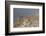 Greece, Crete, Pass of Ambelos, Windmills-Catharina Lux-Framed Photographic Print