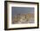 Greece, Crete, Pass of Ambelos, Windmills-Catharina Lux-Framed Photographic Print