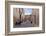 Greece, Crete, Rethimnon, Lane with Graffiti-Catharina Lux-Framed Photographic Print