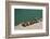 Greece, Crete, Sitia, Harbour, Landing Stage, Ropes-Catharina Lux-Framed Photographic Print