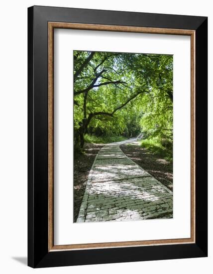 Greece, Epirus, Zagorohoria, Vikos Gorge, Riverfront Walkway-Walter Bibikow-Framed Photographic Print