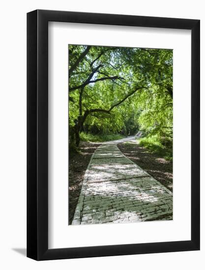 Greece, Epirus, Zagorohoria, Vikos Gorge, Riverfront Walkway-Walter Bibikow-Framed Photographic Print