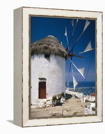 Greece, Mykonos, Mykonos City, Windmill, Donkey-Thonig-Framed Premier Image Canvas