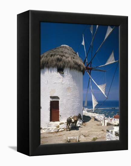 Greece, Mykonos, Mykonos City, Windmill, Donkey-Thonig-Framed Premier Image Canvas