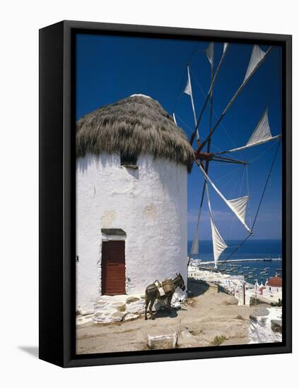 Greece, Mykonos, Mykonos City, Windmill, Donkey-Thonig-Framed Premier Image Canvas