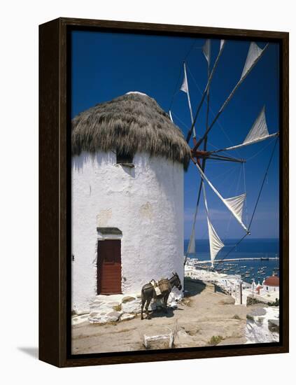 Greece, Mykonos, Mykonos City, Windmill, Donkey-Thonig-Framed Premier Image Canvas