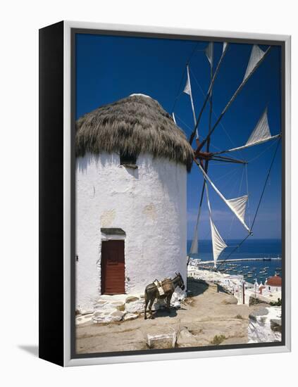 Greece, Mykonos, Mykonos City, Windmill, Donkey-Thonig-Framed Premier Image Canvas