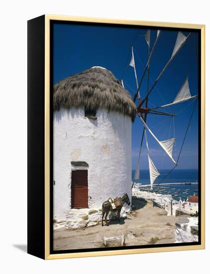 Greece, Mykonos, Mykonos City, Windmill, Donkey-Thonig-Framed Premier Image Canvas