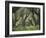 Greece, Olive Grove, Olive Trees, Old-Thonig-Framed Photographic Print