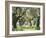 Greece, Olive Grove-Thonig-Framed Photographic Print