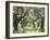 Greece, Olive Grove-Thonig-Framed Photographic Print