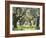 Greece, Olive Grove-Thonig-Framed Photographic Print