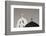 Greece, Santorini. Church Steeples and Crosses-Bill Young-Framed Photographic Print