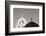 Greece, Santorini. Church Steeples and Crosses-Bill Young-Framed Photographic Print