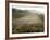 Greece, Stadium Running Track at Archaeological Site of Olympia-null-Framed Giclee Print