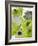 Greeen and Grey-Jodi Pedri-Framed Art Print