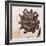 Greek Bronze of a Gorgon's Head, c4th century BC-Unknown-Framed Giclee Print