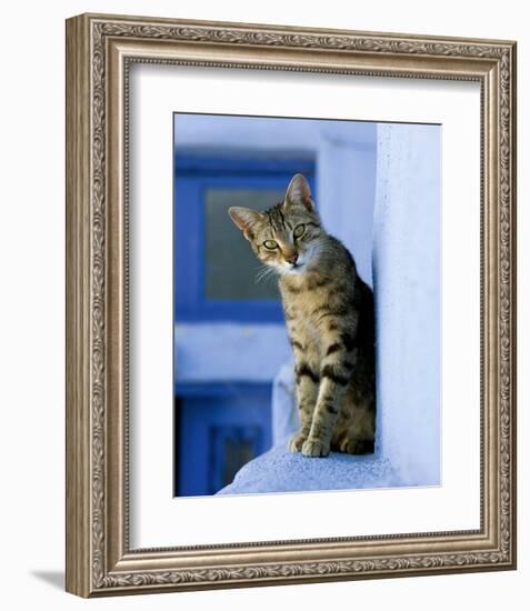 Greek Cat-Hubert & Klein-Framed Art Print