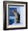 Greek Cat-Hubert & Klein-Framed Art Print