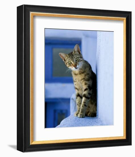 Greek Cat-Hubert & Klein-Framed Art Print