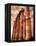 Greek Columns and Greek Carvings of Women, Temple of Zeus, Athens, Greece-Steve Satushek-Framed Premier Image Canvas