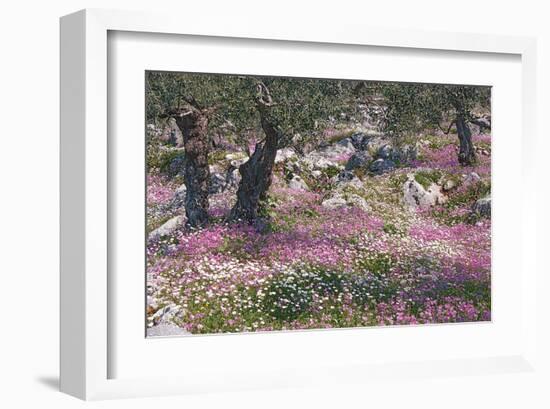 Greek Garden Olive Trees-null-Framed Art Print