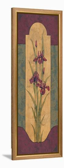 Greek Iris I-Paul Brent-Framed Stretched Canvas