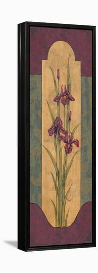 Greek Iris I-Paul Brent-Framed Stretched Canvas