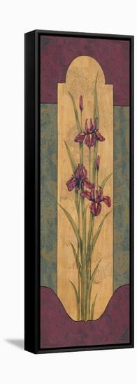 Greek Iris I-Paul Brent-Framed Stretched Canvas