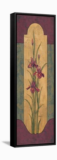 Greek Iris II-Paul Brent-Framed Stretched Canvas