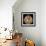 Greek pendant with bust of Aphrodite-Unknown-Framed Giclee Print displayed on a wall